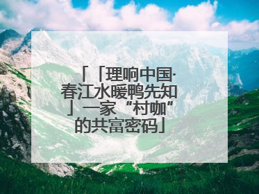 「理响中国·春江水暖鸭先知」一家“村咖”的共富密码