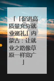 「促进高质量充分就业巡礼」内蒙古:让就业之路像草原一样宽广