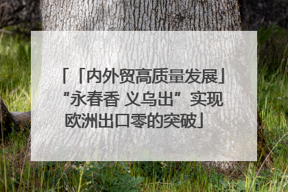 「内外贸高质量发展」“永春香 义乌出”实现欧洲出口零的突破
