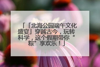 「北海公园端午文化盛宴」穿越古今，玩转科学，这个假期带你“粽”享欢乐！