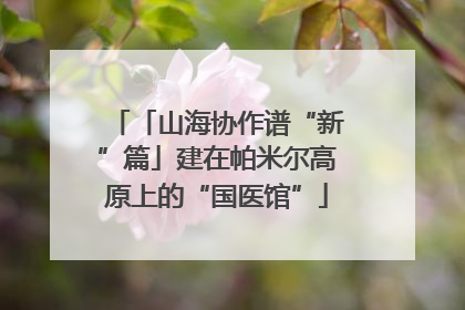 「山海协作谱“新”篇」建在帕米尔高原上的“国医馆”