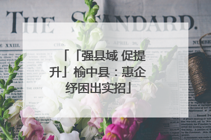 「强县域 促提升」榆中县：惠企纾困出实招