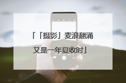 「摄影」麦浪翻涌 又是一年夏收时