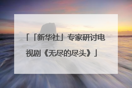 「新华社」专家研讨电视剧《无尽的尽头》