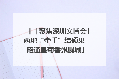 「聚焦深圳文博会」两地“牵手”结硕果 昭通皇菊香飘鹏城