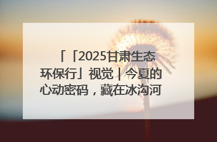 「2025甘肃生态环保行」视觉｜今夏的心动密码，藏在冰沟河的潋滟波光里