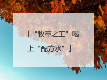 “牧草之王”喝上“配方水”