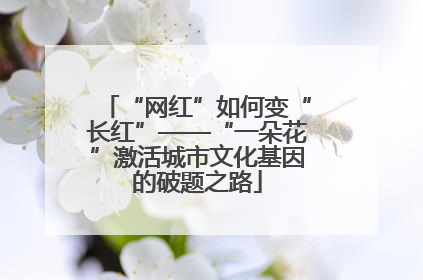 “网红”如何变“长红”——“一朵花”激活城市文化基因的破题之路
