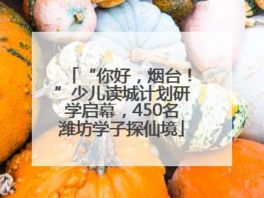 “你好，烟台！”少儿读城计划研学启幕，450名潍坊学子探仙境