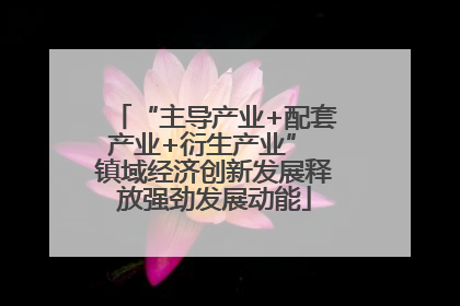 “主导产业+配套产业+衍生产业” 镇域经济创新发展释放强劲发展动能