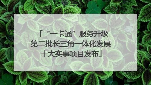 “一卡通”服务升级 第二批长三角一体化发展十大实事项目发布