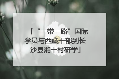 “一带一路”国际学员与西藏干部到长沙县湘丰村研学