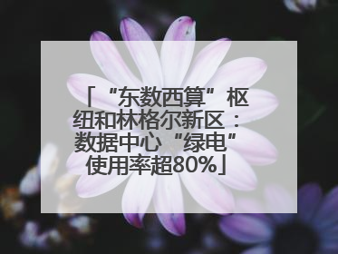 “东数西算”枢纽和林格尔新区：数据中心“绿电”使用率超80%