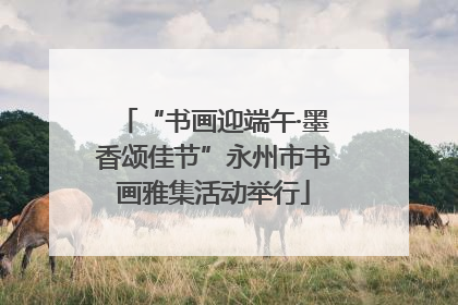 “书画迎端午·墨香颂佳节”永州市书画雅集活动举行