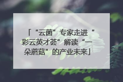 “云菌”专家走进“彩云英才荟”解读“一朵蘑菇”的产业未来