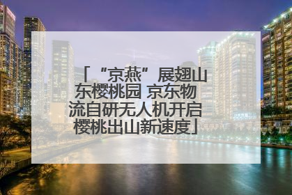 “京燕”展翅山东樱桃园 京东物流自研无人机开启樱桃出山新速度