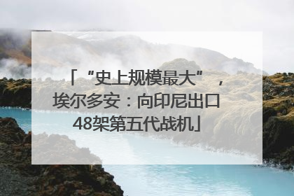 “史上规模最大”，埃尔多安：向印尼出口48架第五代战机