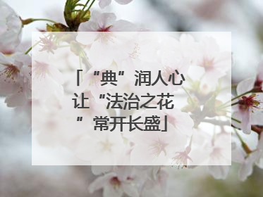 “典”润人心 让“法治之花”常开长盛