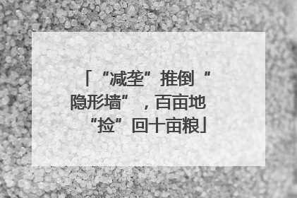 “减垄”推倒“隐形墙”，百亩地“捡”回十亩粮