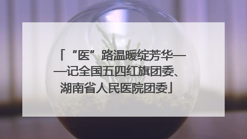 “医”路温暖绽芳华——记全国五四红旗团委、湖南省人民医院团委