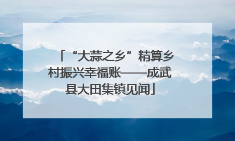 “大蒜之乡”精算乡村振兴幸福账——成武县大田集镇见闻
