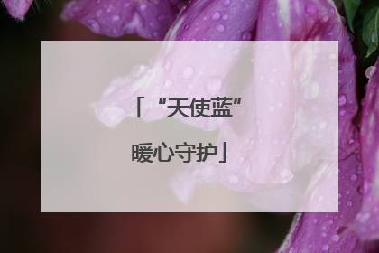 “天使蓝” 暖心守护