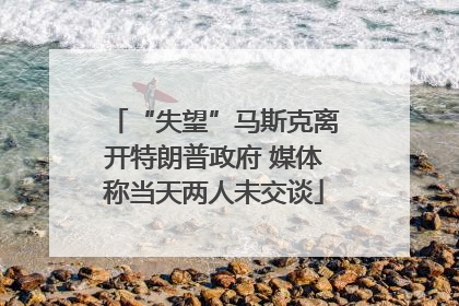 “失望”马斯克离开特朗普政府 媒体称当天两人未交谈