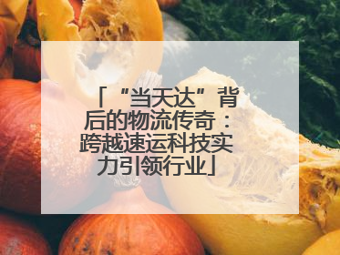 “当天达”背后的物流传奇：跨越速运科技实力引领行业