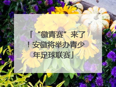 “徽青赛”来了！安徽将举办青少年足球联赛