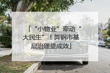 “小物业”牵动“大民生”！舞钢市基层治理显成效