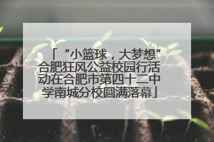 “小篮球，大梦想”合肥狂风公益校园行活动在合肥市第四十二中学南城分校圆满落幕