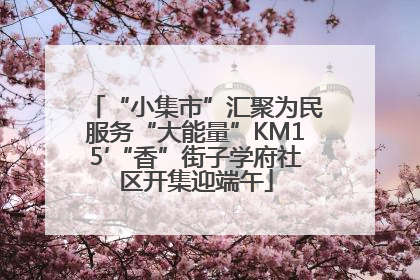 “小集市”汇聚为民服务“大能量”KM15′“香”街子学府社区开集迎端午