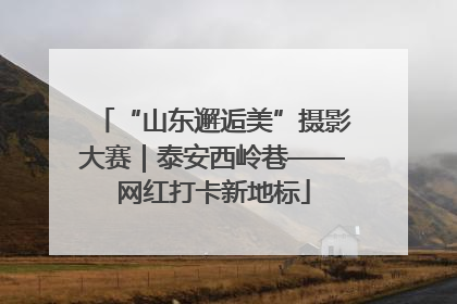 “山东邂逅美”摄影大赛｜泰安西岭巷——网红打卡新地标