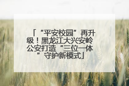 “平安校园”再升级！黑龙江大兴安岭公安打造“三位一体”守护新模式