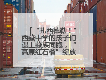 “扎西德勒！”西藏中学的孩子们遇上藏族同胞，“高原红石榴”绽放荆楚大地