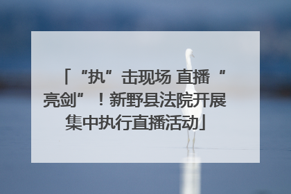 “执”击现场 直播“亮剑”！新野县法院开展集中执行直播活动