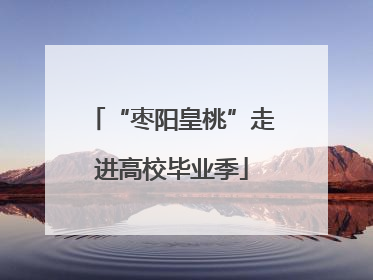 “枣阳皇桃”走进高校毕业季