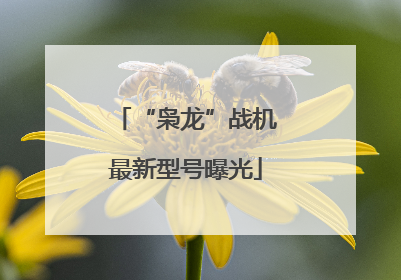 “枭龙”战机最新型号曝光