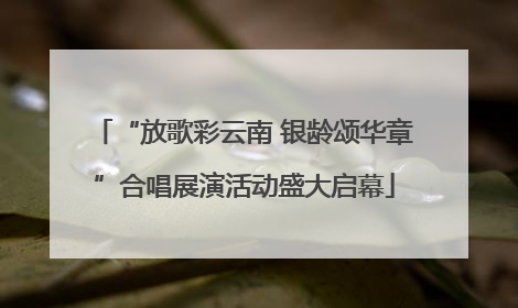 “放歌彩云南 银龄颂华章”合唱展演活动盛大启幕
