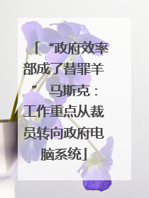 “政府效率部成了替罪羊” 马斯克：工作重点从裁员转向政府电脑系统