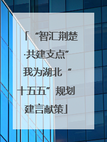 “智汇荆楚·共建支点” 我为湖北“十五五”规划建言献策