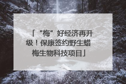 “梅”好经济再升级！保康签约野生蜡梅生物科技项目