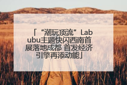 “潮玩顶流”Labubu主题快闪西南首展落地成都 首发经济引擎再添动能