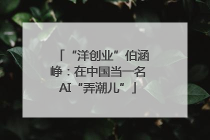 “洋创业”伯涵峥：在中国当一名AI“弄潮儿”