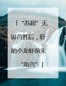 “苏超”无锡首胜后，盱眙小龙虾前来“助兴”