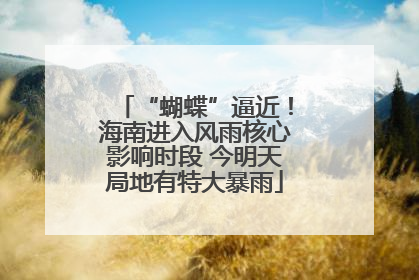 “蝴蝶”逼近！海南进入风雨核心影响时段 今明天局地有特大暴雨