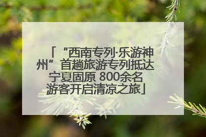 “西南专列·乐游神州”首趟旅游专列抵达宁夏固原 800余名游客开启清凉之旅