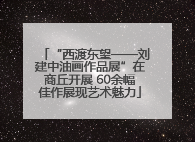“西渡东望——刘建中油画作品展”在商丘开展 60余幅佳作展现艺术魅力