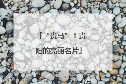 “贵马”！贵阳的亮丽名片