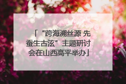 “跨海溯丝源 先蚕生古泫”主题研讨会在山西高平举办